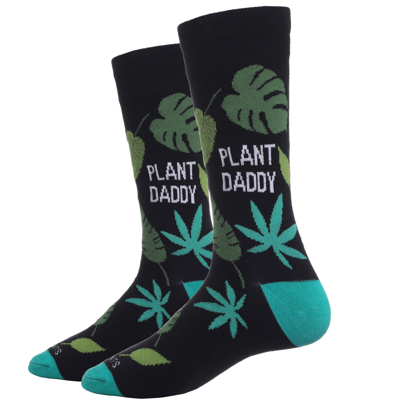 picture of plant-daddy-socks