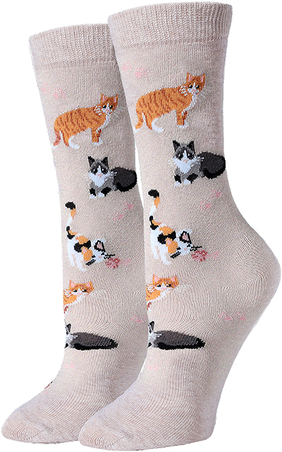 picture of kitten-around-socks