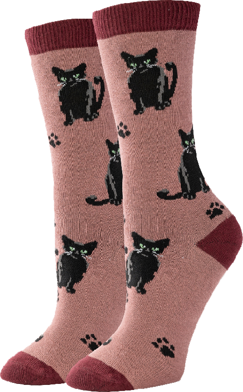 a picture of Black Cat Socks