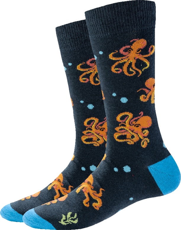 a picture of Octopus Socks