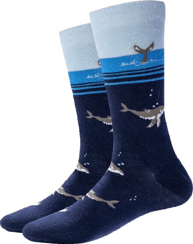 a picture of Whale Socks