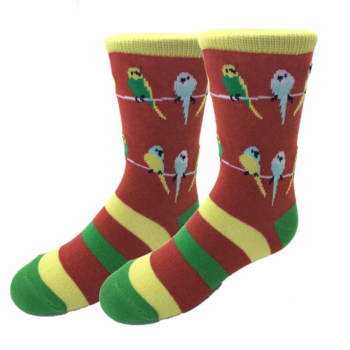 picture of parakeet-kids-socks
