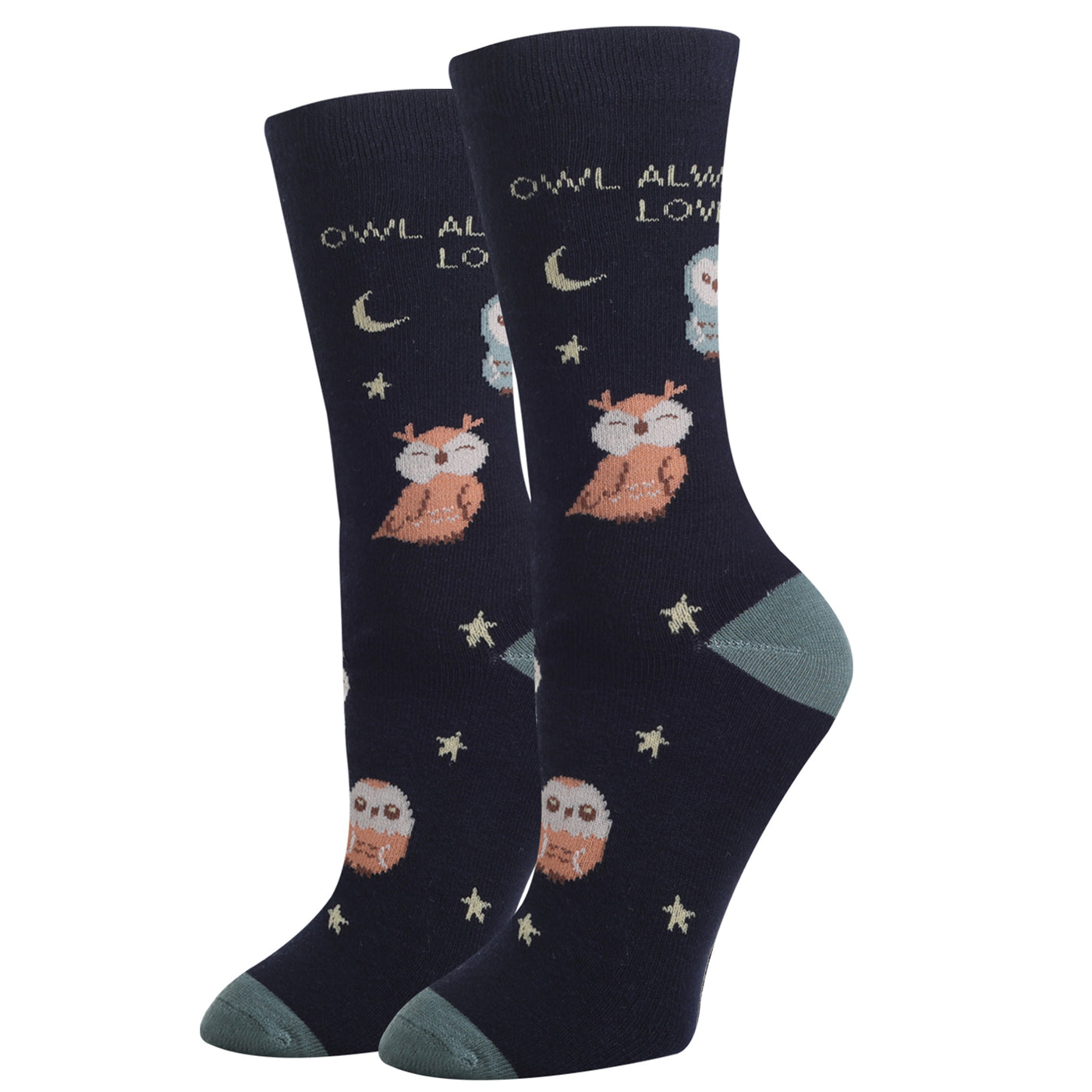 picture of owl-always-love-you-socks