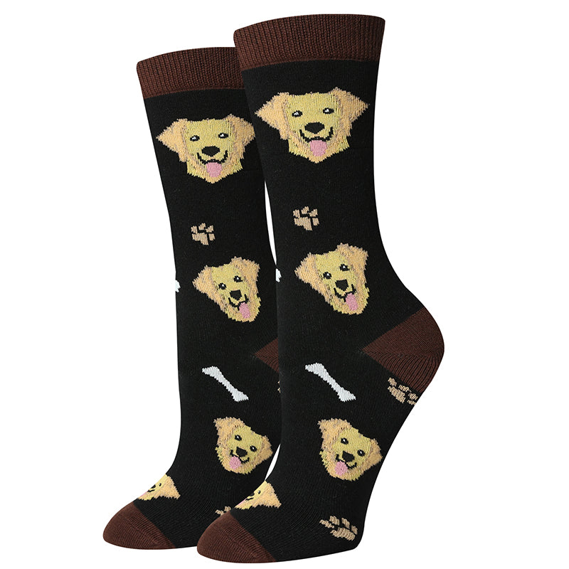 picture of golden-retriever-black-socks