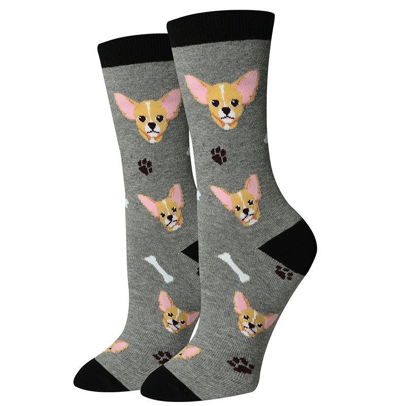 picture of chihuahua-socks