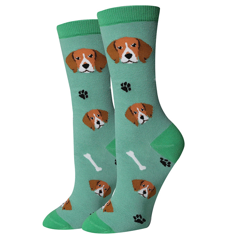 picture of beagle-socks