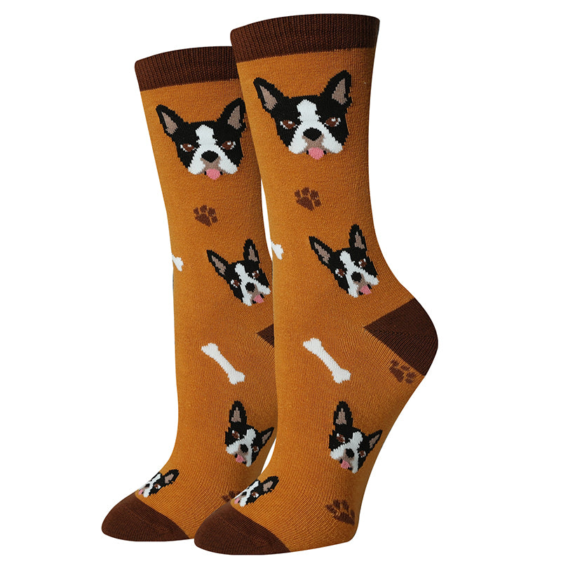 picture of boston-terrier-socks